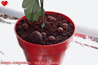 MACETA PARA EL DÍA DE LA MADRE