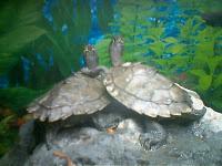 Premio LOS MEJORES BLOGS!