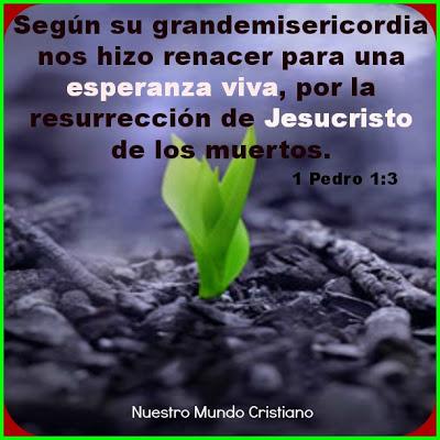 Ofertas fantásticas