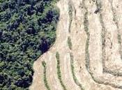 Audios Programa Búsqueda