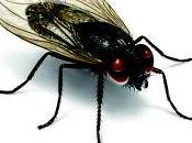 Análisis evolutivo envejecimiento