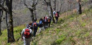 Ruta de Los Carboneros con Geográfica