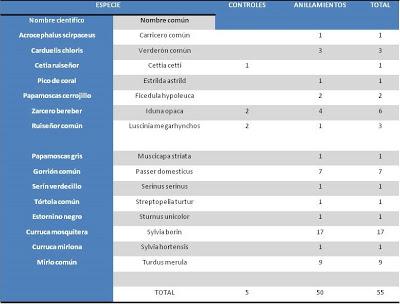 Nuevas especies durante el seguimiento de passeriformes en la Laguna de Fuente del Rey (Dos Hermanas, Sevilla) - New species of passerines to follow up on the Fuente del Rey Lagoon