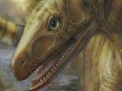 sucedió antecesores dinosaurios