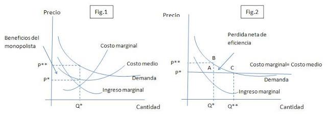 Los monopolios naturales. Un caso específico de competencia.