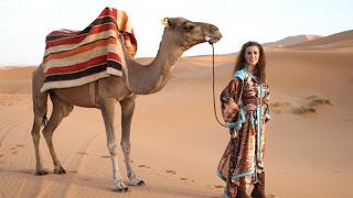 Y los desahucios... llegan a la red.