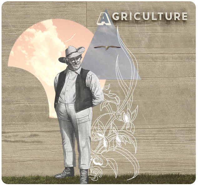 Ilustrando: Mary Frances Foster