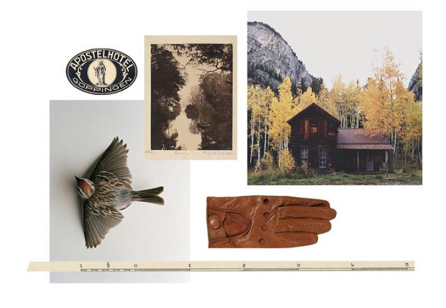 Ilustrando: Mary Frances Foster