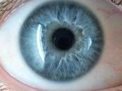 ¿Cuántos megapíxeles tiene humano?