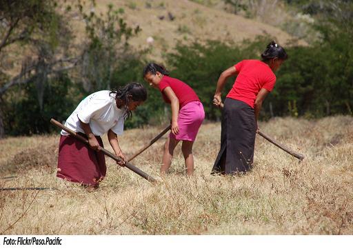Acceso a la tierra debe ser parejo