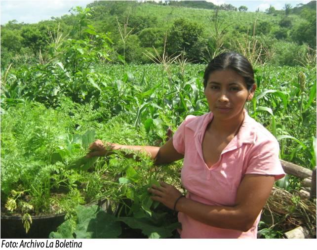 Acceso a la tierra debe ser parejo