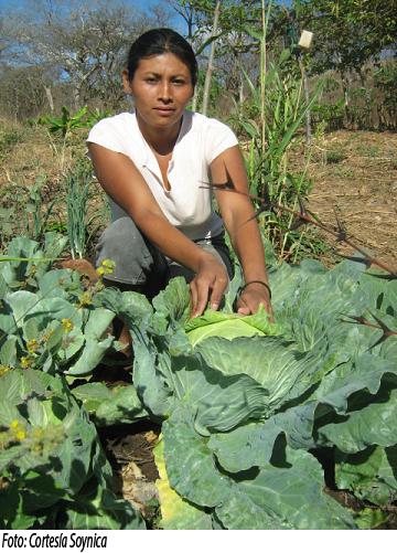 Acceso a la tierra debe ser parejo