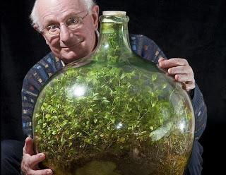 El Jardín de 53 Años Dentro de una Botella