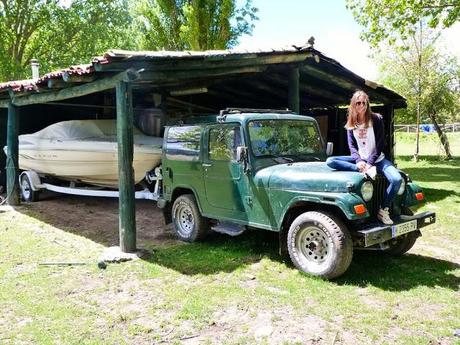 Swamp days Swamp days