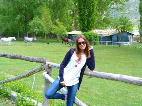 Swamp days Swamp days