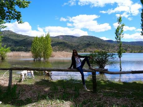 Swamp days Swamp days