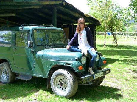 Swamp days Swamp days