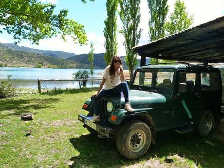 Swamp days Swamp days