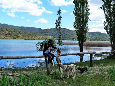 Swamp days Swamp days