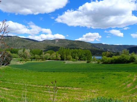 Swamp days Swamp days