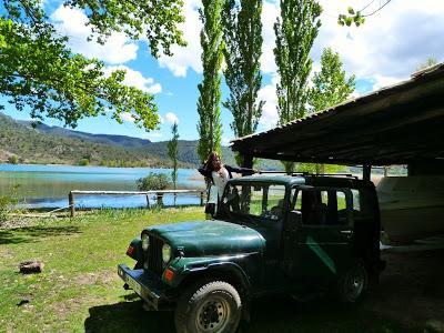 Swamp days Swamp days