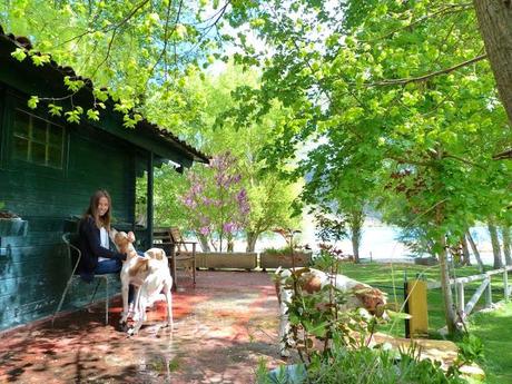 Swamp days Swamp days