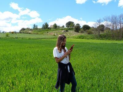 Swamp days Swamp days