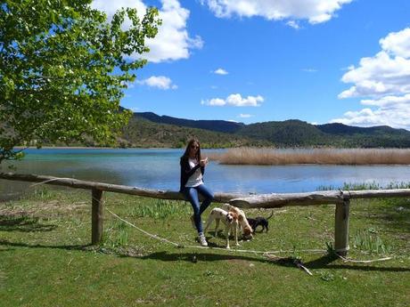 Swamp days Swamp days