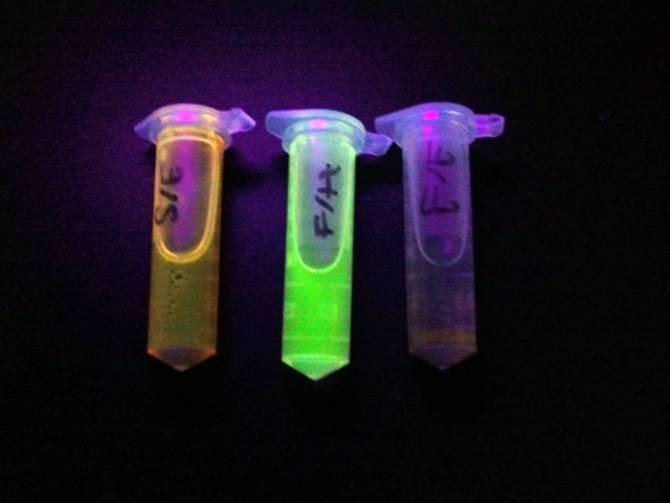 El Oxido Zinc Mejora el Rendimiento de las Celdas Solares