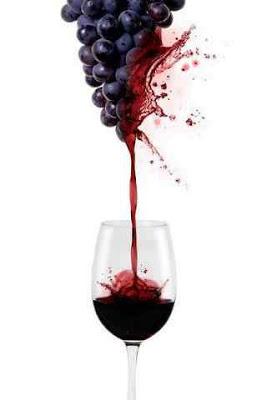 Argentina: Marcha de la cosecha de uvas 2013