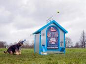 Máquinas expendedoras para perros
