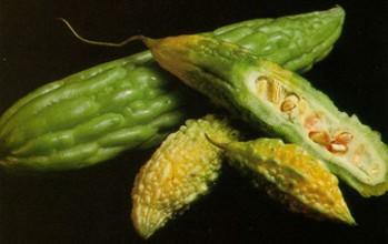 MELÓN AMARGO PUEDE CURAR EL CÁNCER DE PANCREAS