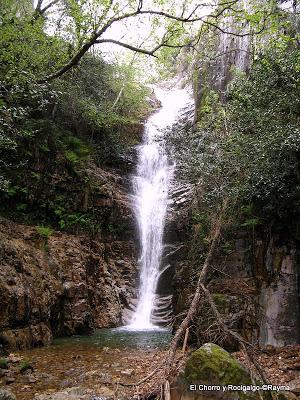 Rocigalgo y el Chorro de Los Navalucillos, P.N. de Cabañeros (Toledo) 27-4-13