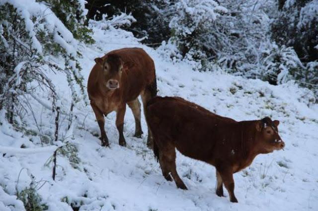 RECETARIO......................(Sopas).-