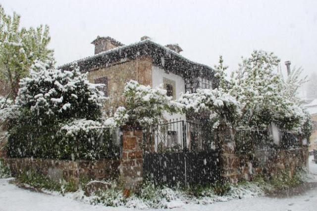 RECETARIO......................(Sopas).-