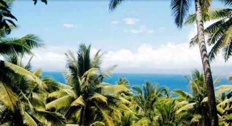 No hay que ser rico para comprar una isla privada wild style magazine fiji
