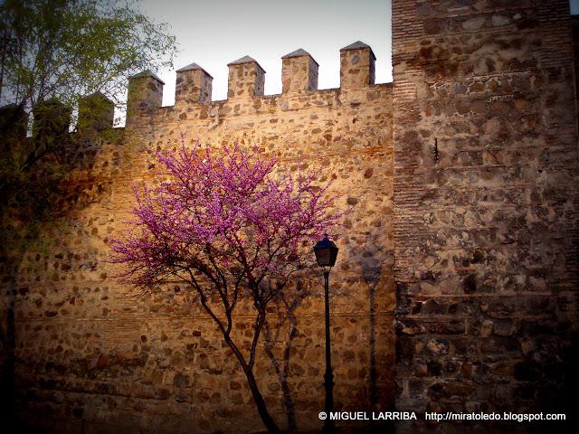 Paraíso de románticos