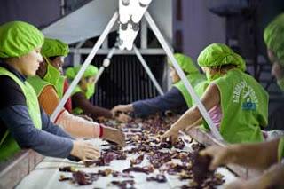 BARRANCA LOGRA EXPORTAR AJÍ PÁPRIKA HACIA MERCADO NORTEAMERICANO…