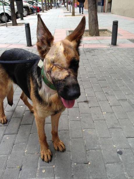 VALIENTE, HACE HONOR A SU NOMBRE!!! Actualización.