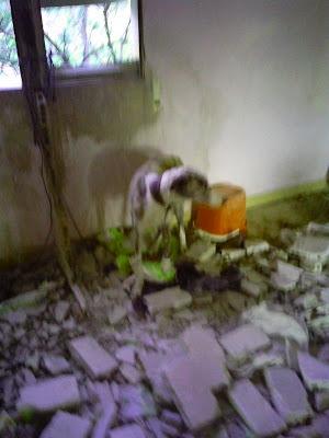 LLAMAMIENTO URGENTE!! En una vieja estación han encontrado 6 animales atados en unas condiciones deplorables. SE NECESITA AYUDA. (Jaen)