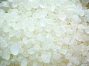 almáciga resina mástic) pintura