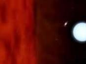 Estrella muerta torciendo compañera viva