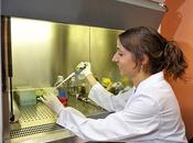 terapia pequeña, pequeña