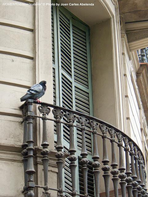 Barcelona: A vista de pájaro