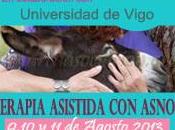 Curso Terapia Asistida Asnos