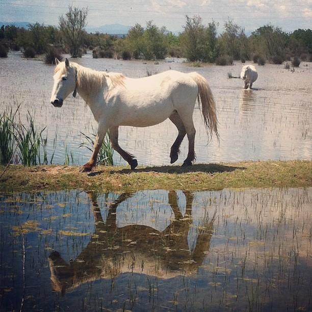 mirarse en el espejo - look at yourself in the mirror