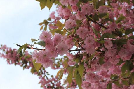 Image Hosted by ImageShack.us