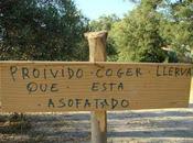 premeditación... ortografía (94)