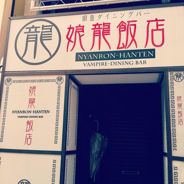 De compras por Akihabara