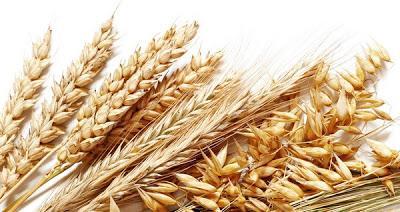 Ser celíaco Ser celiaco